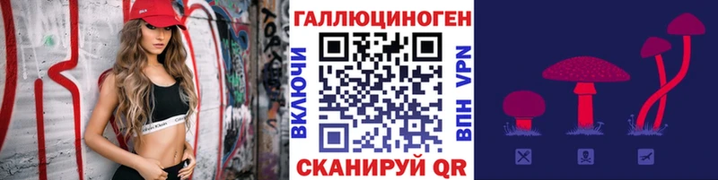 Псилоцибиновые грибы мухоморы  Купить  Тосно 